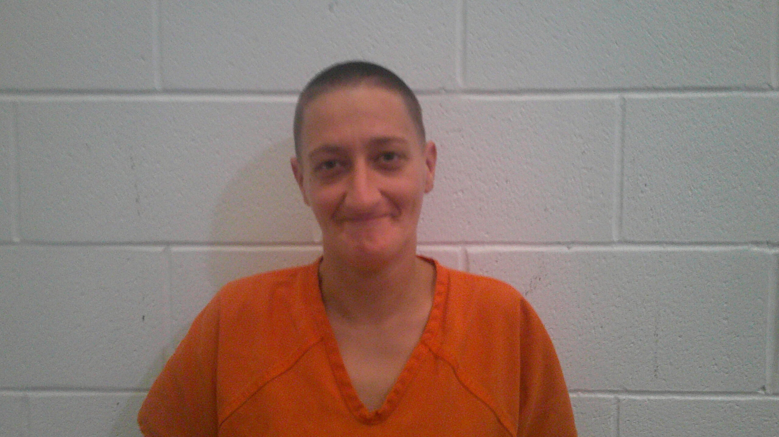 BOTTOMS, ANDREA DAWN booking photo