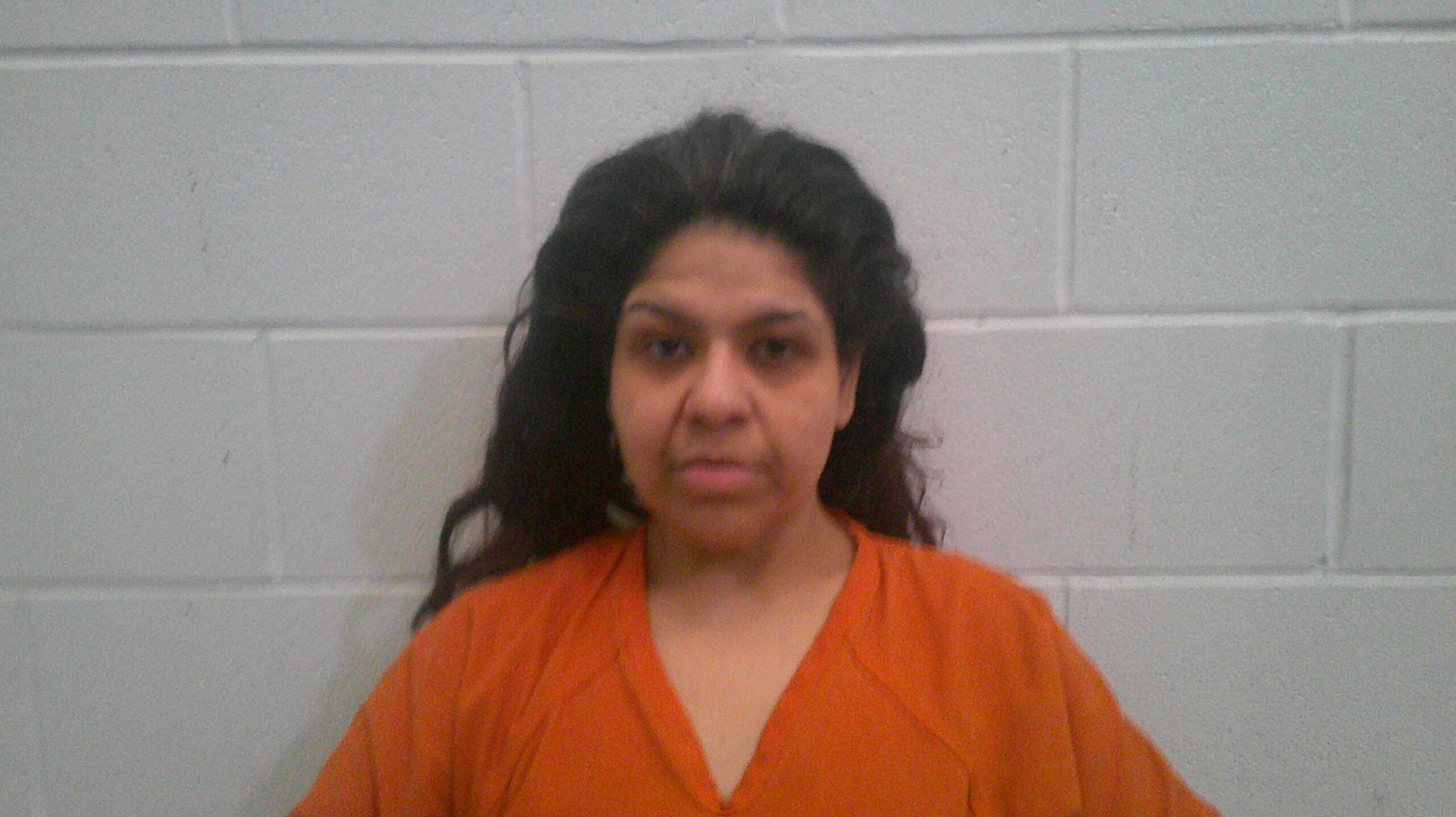 GUILLEN, REBECCA booking photo