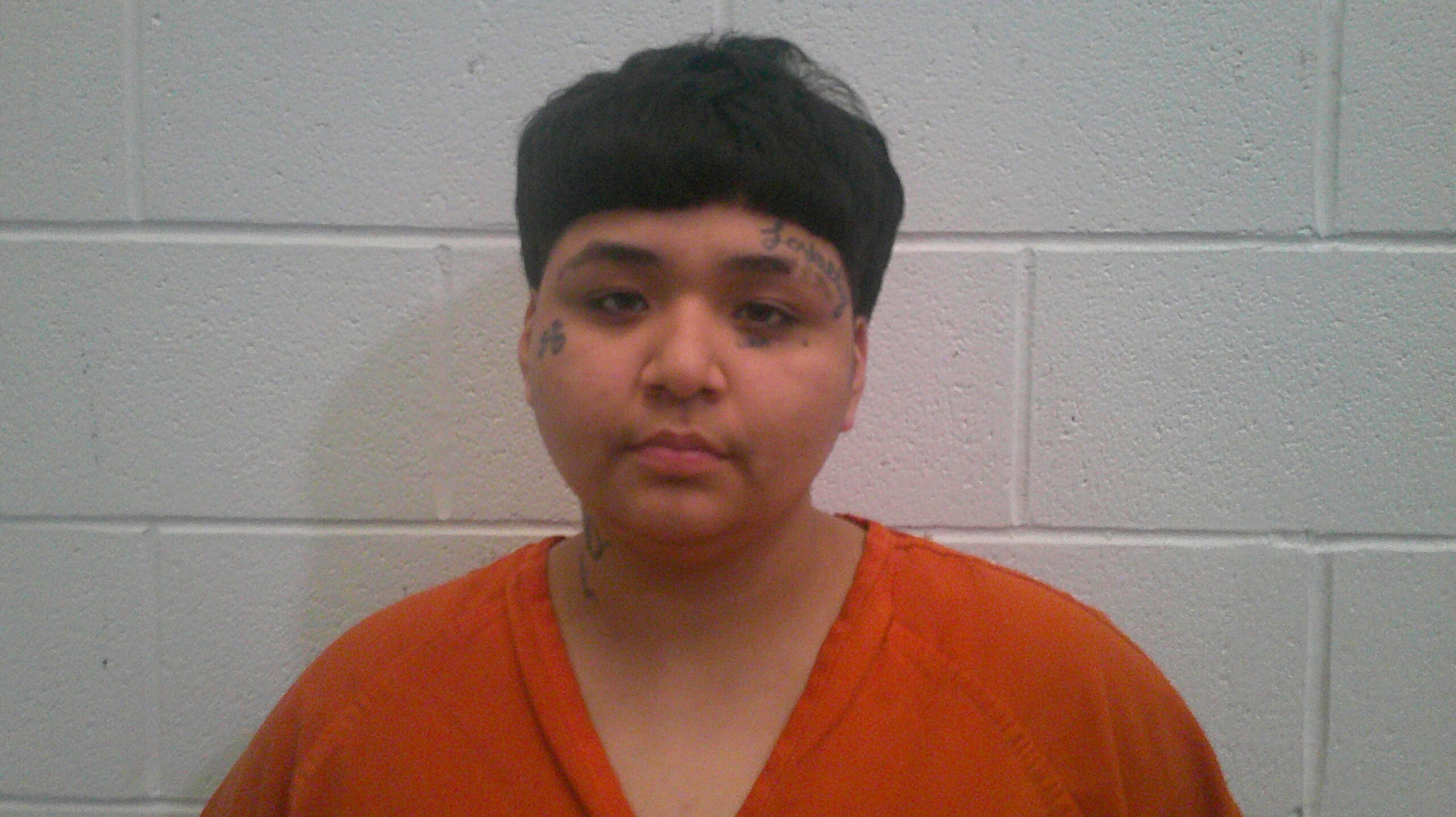 CASTILLO, JAZLYNN DEANNE booking photo