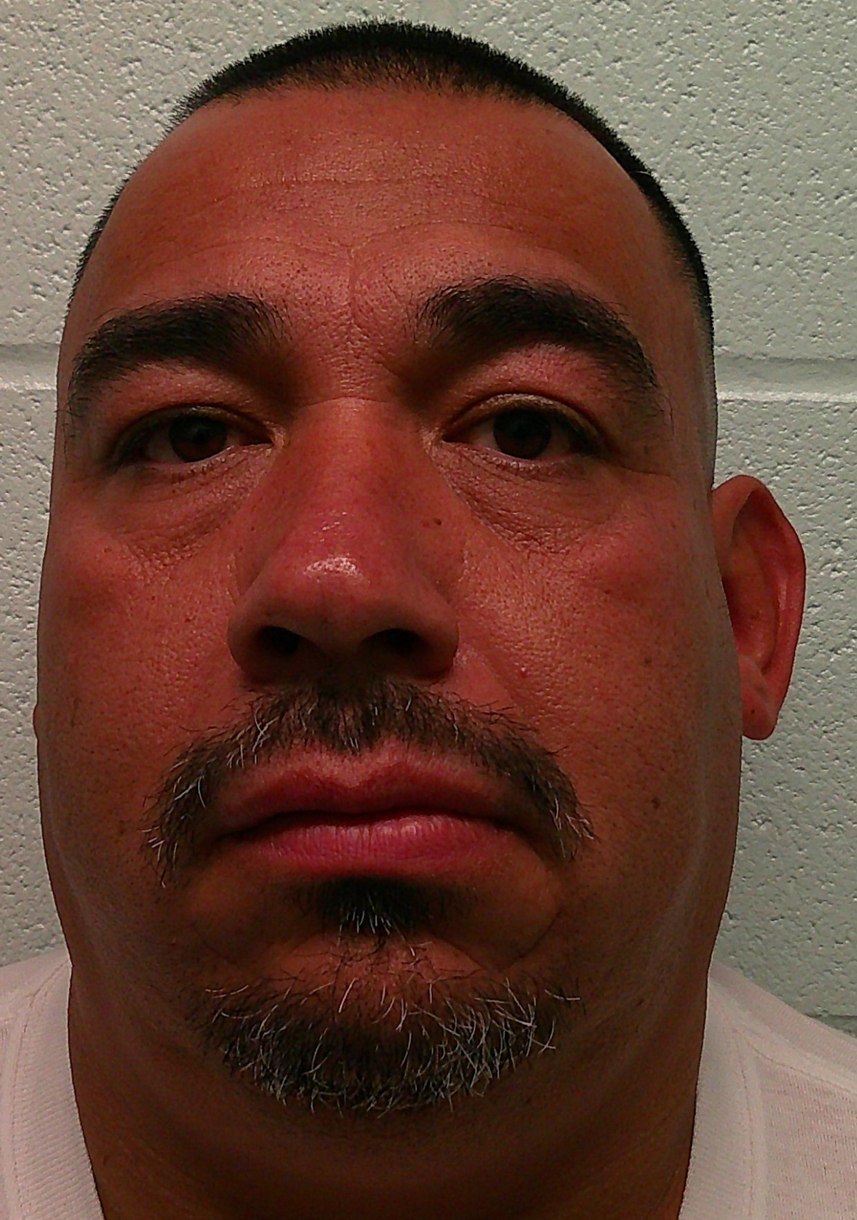 VILLAGRANA, LUIS booking photo