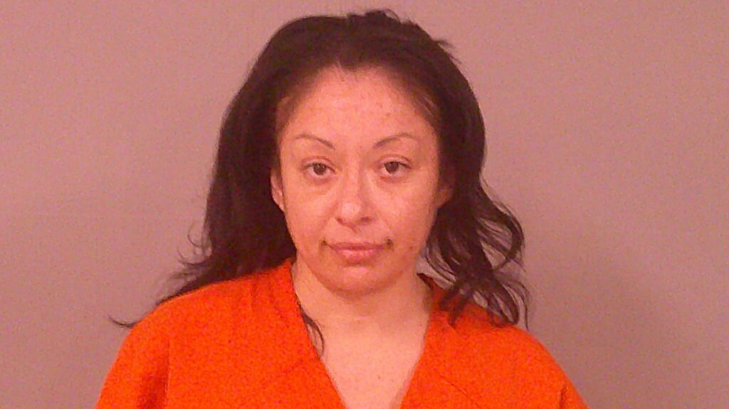 VINA, JORENE booking photo