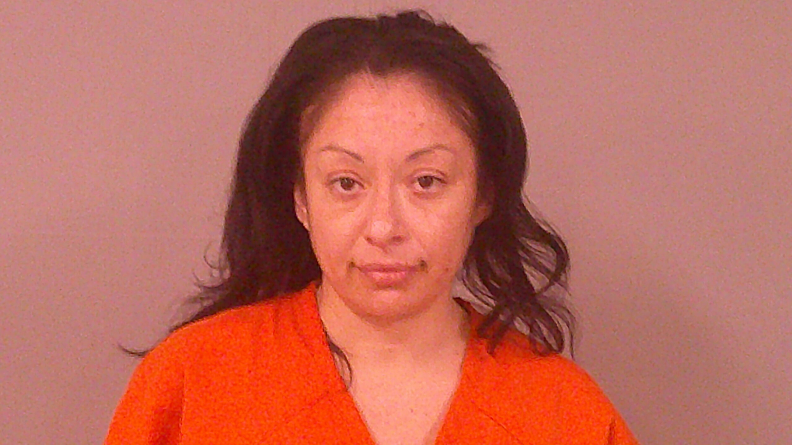 VINA, JORENE booking photo