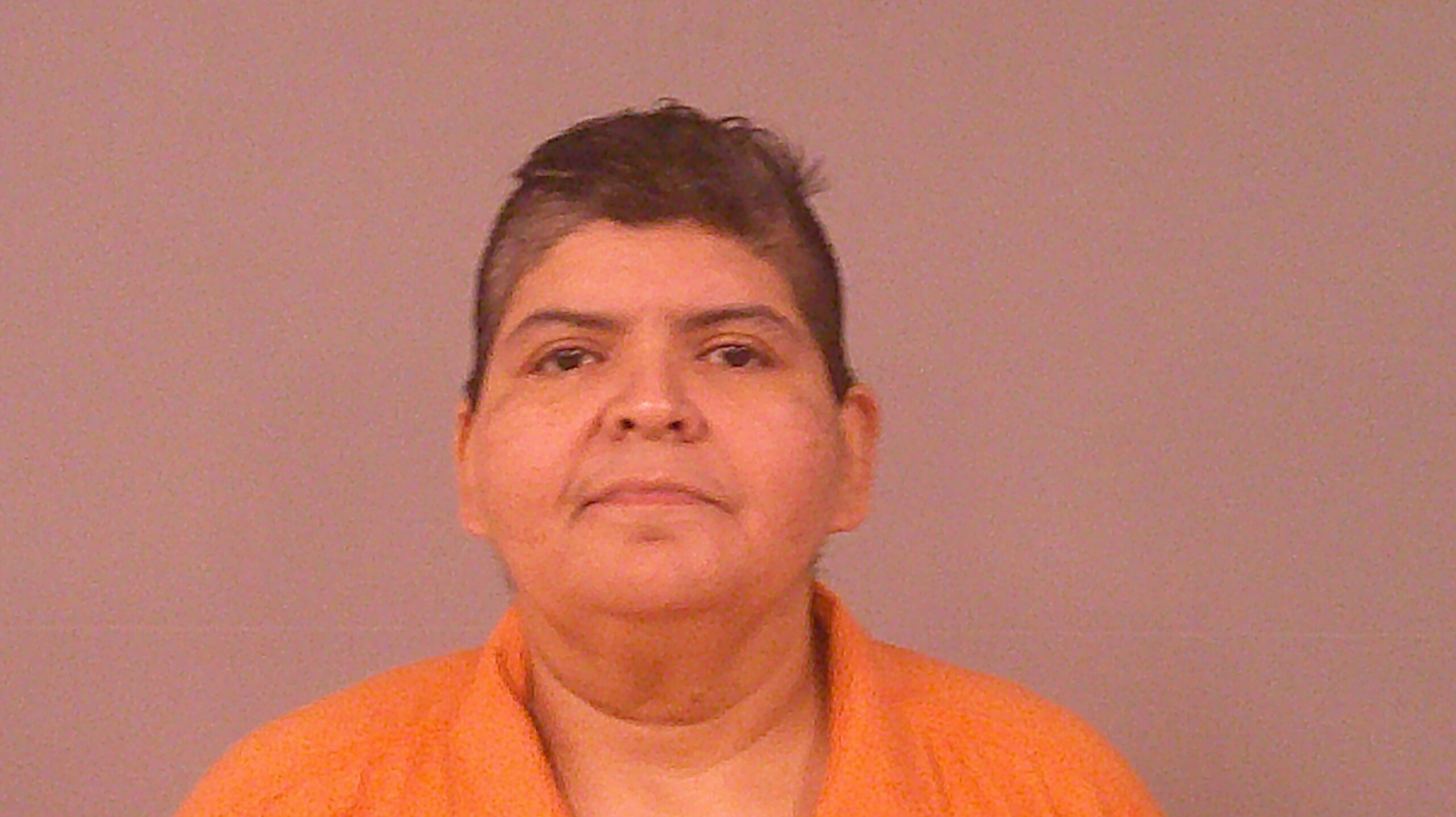 ROMAN, TERESA RODRIGUEZ booking photo