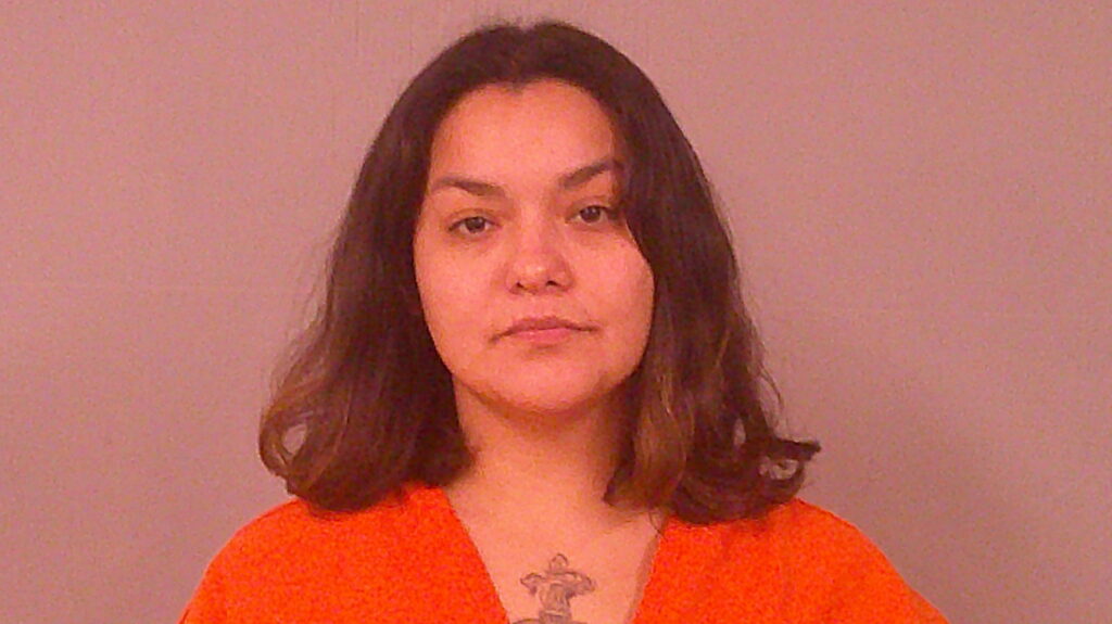 GONZALEZ, SALLY booking photo