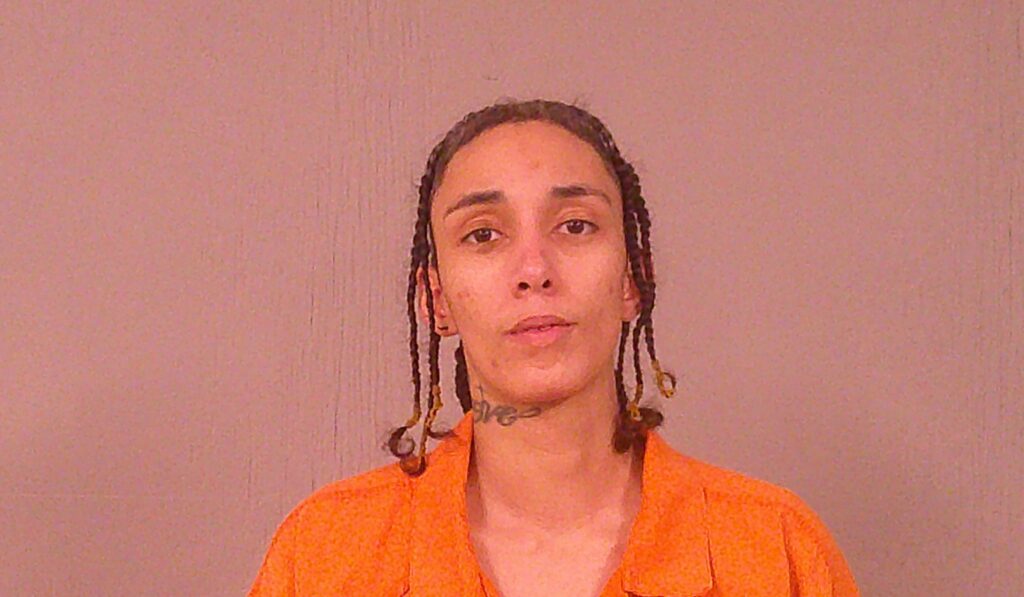 WILLIAMS, RICHELLE JENNIFER booking photo