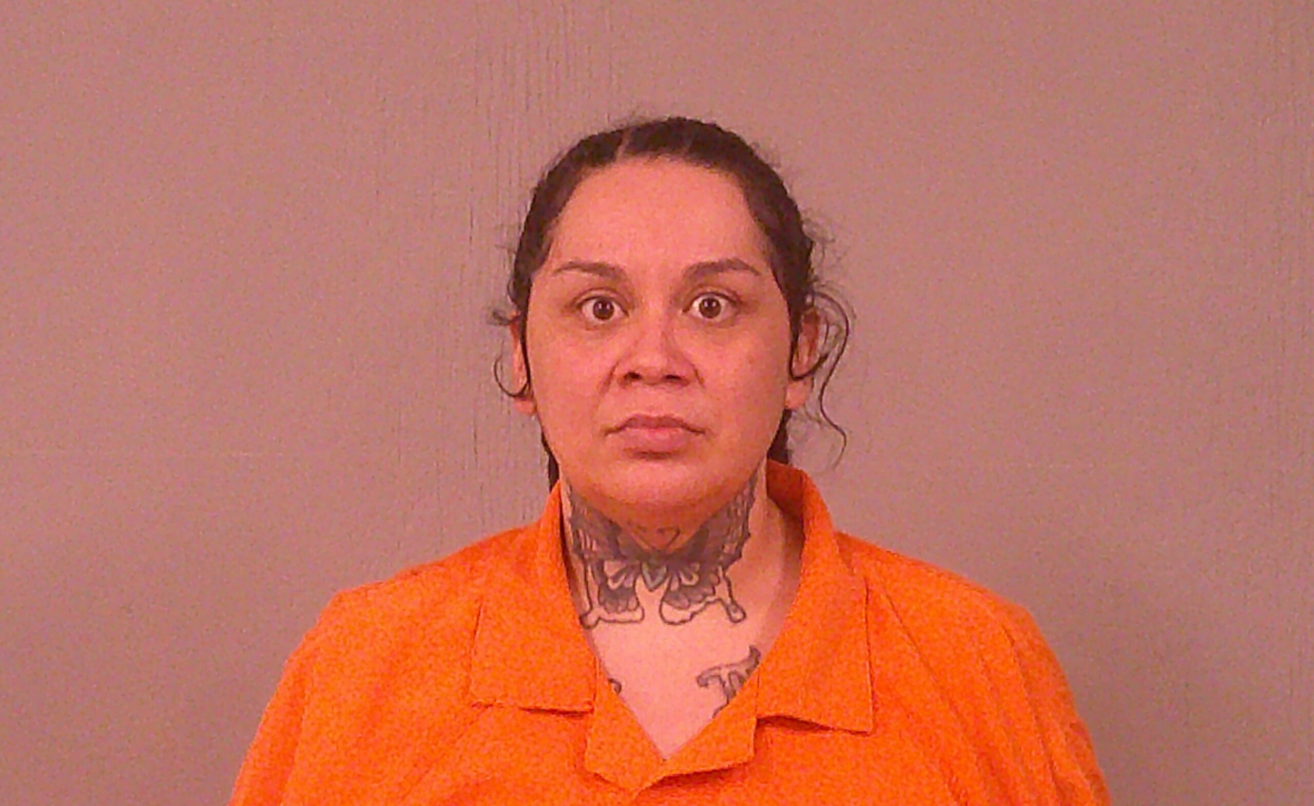 LONGORIA, TERESA MARIA booking photo