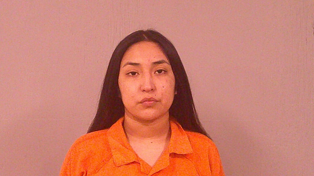 HERNANDEZ, ARISELLI booking photo
