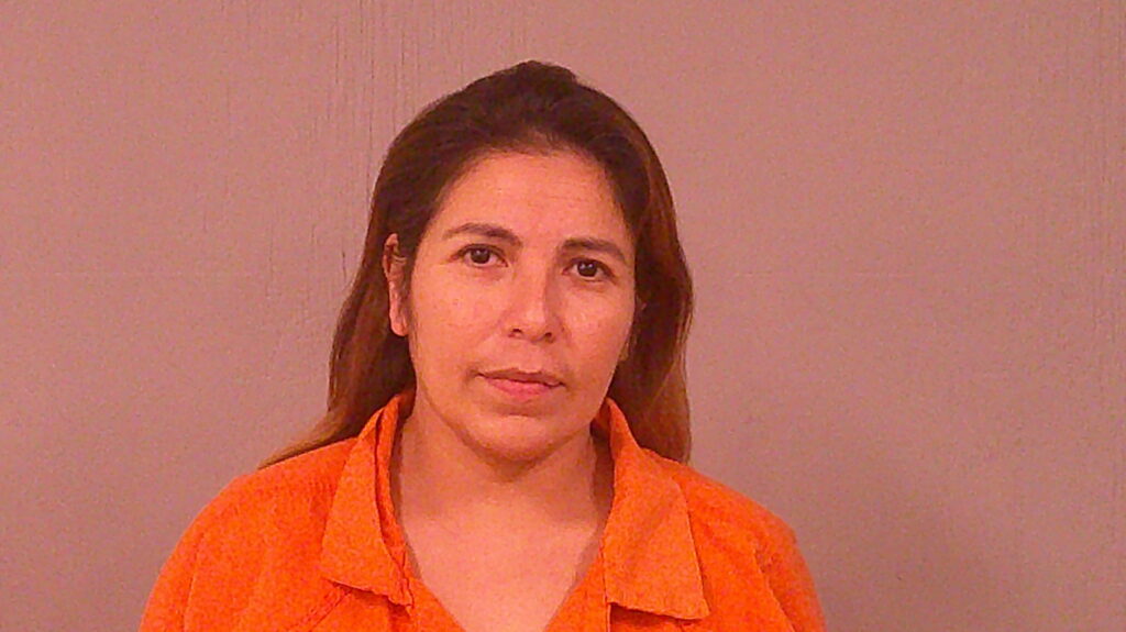 VILLARREAL, AMANDA NICHOLE booking photo