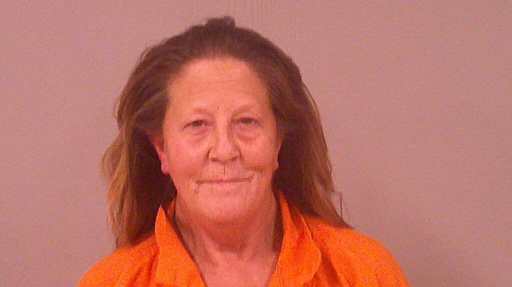 DEFELICE, TRACY LYNN booking photo