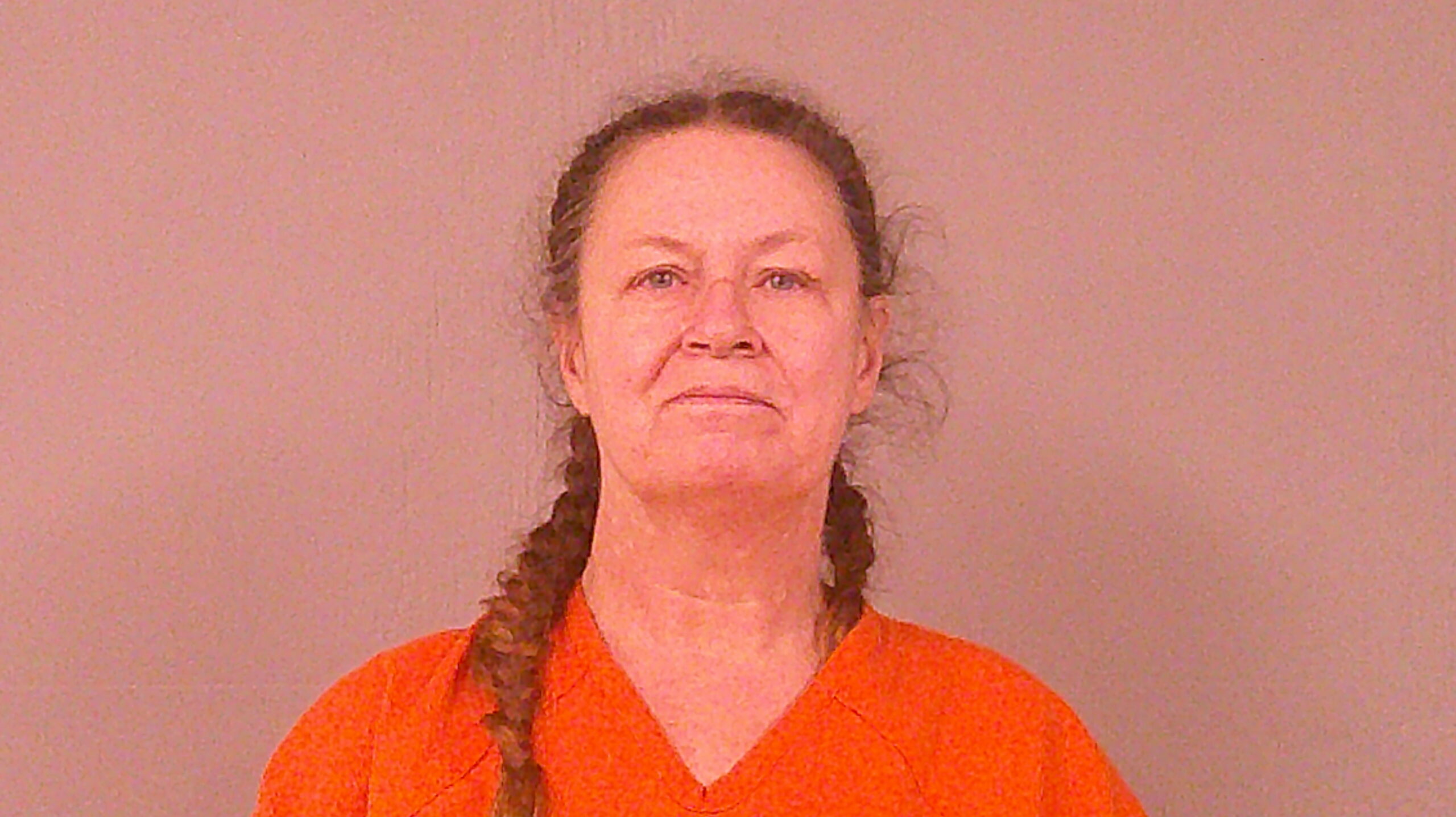 ELLIS, DONNA LYNN booking photo