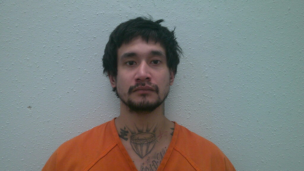 HAMOUD, LAWRENCE AMER booking photo