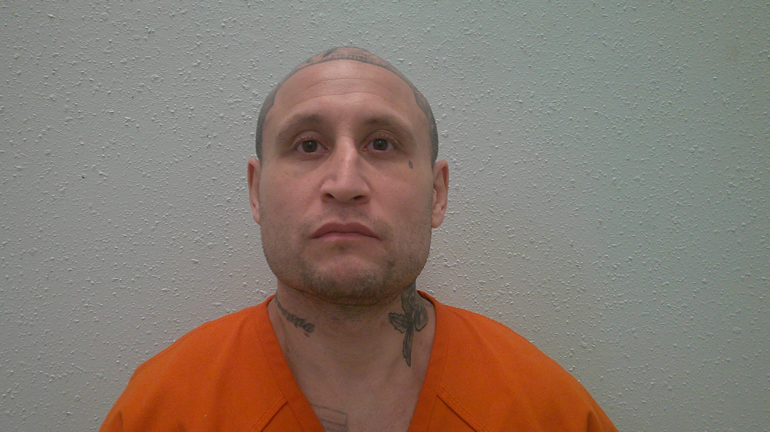 FLORES, DANIEL G booking photo