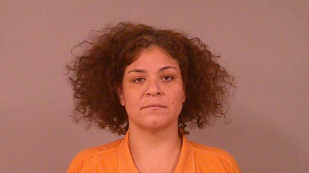 MEDELEZ, ANDREA LIANNA booking photo