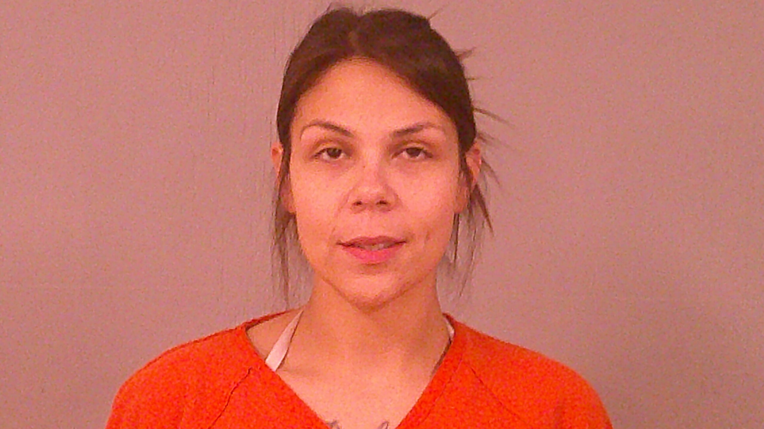 SUAREZ, JULINA ANNE booking photo