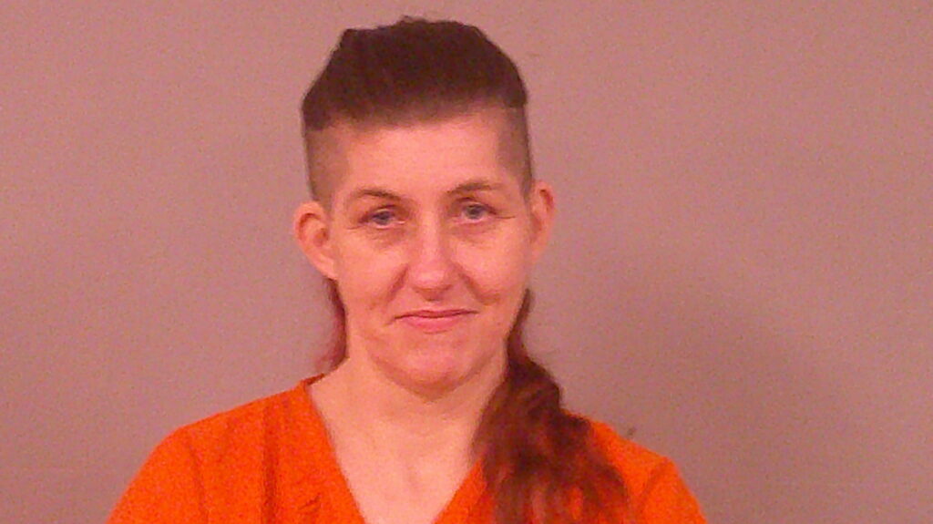 ANDERSON, SKYE MICHELLE booking photo