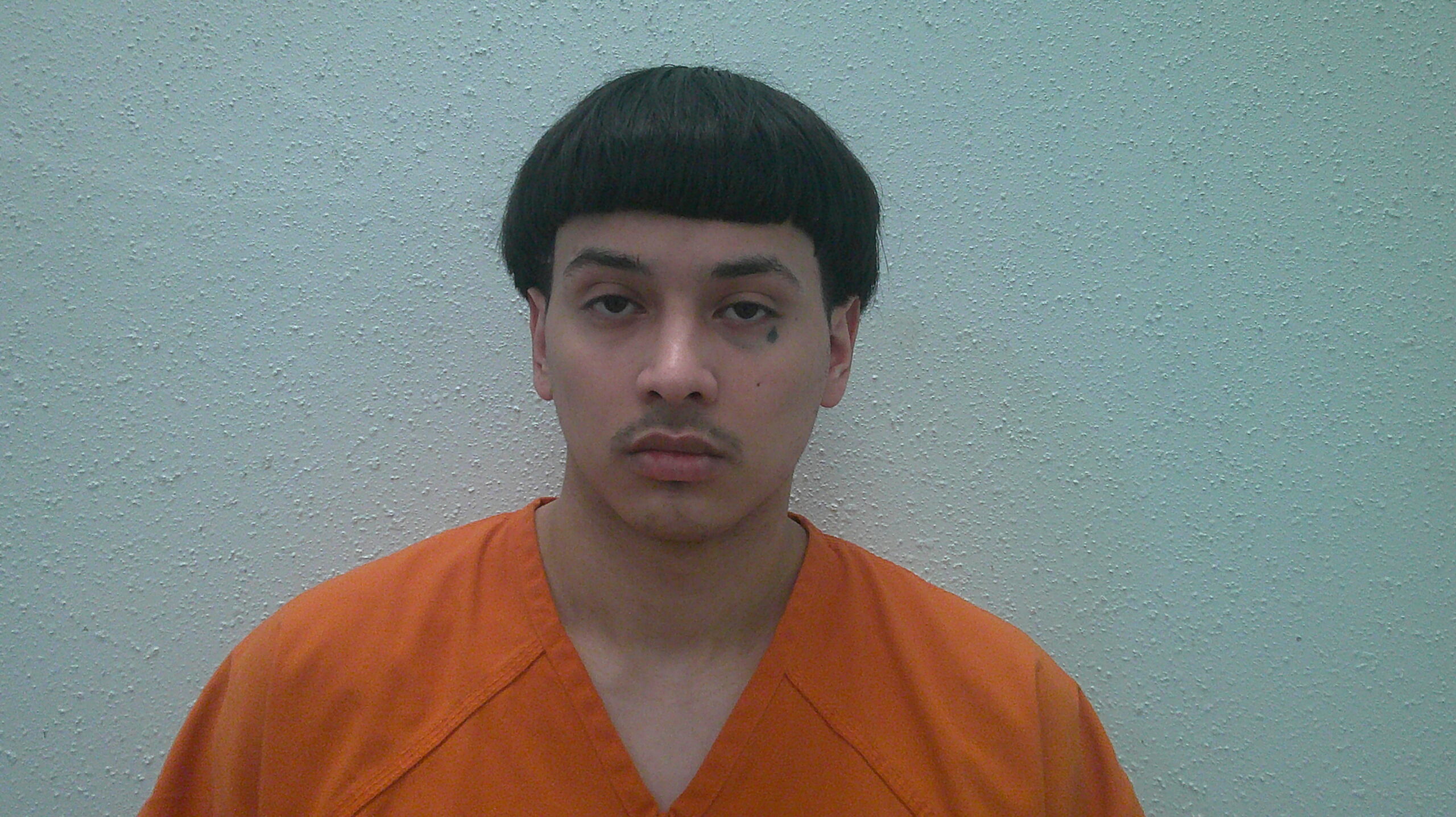 SEGOVIA, SEBASTIAN booking photo