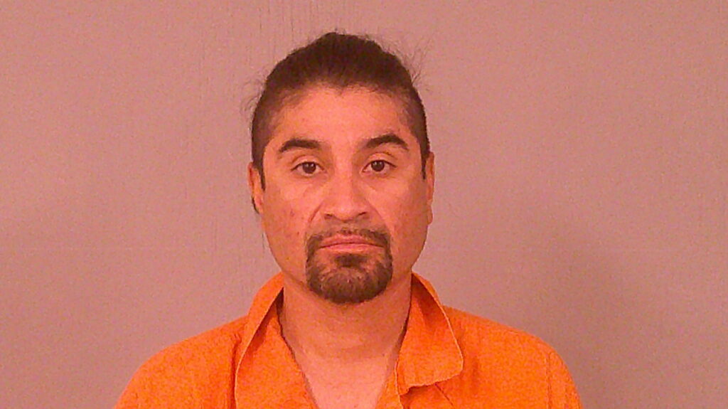 YANEZ-ALEJOS, JAIME booking photo