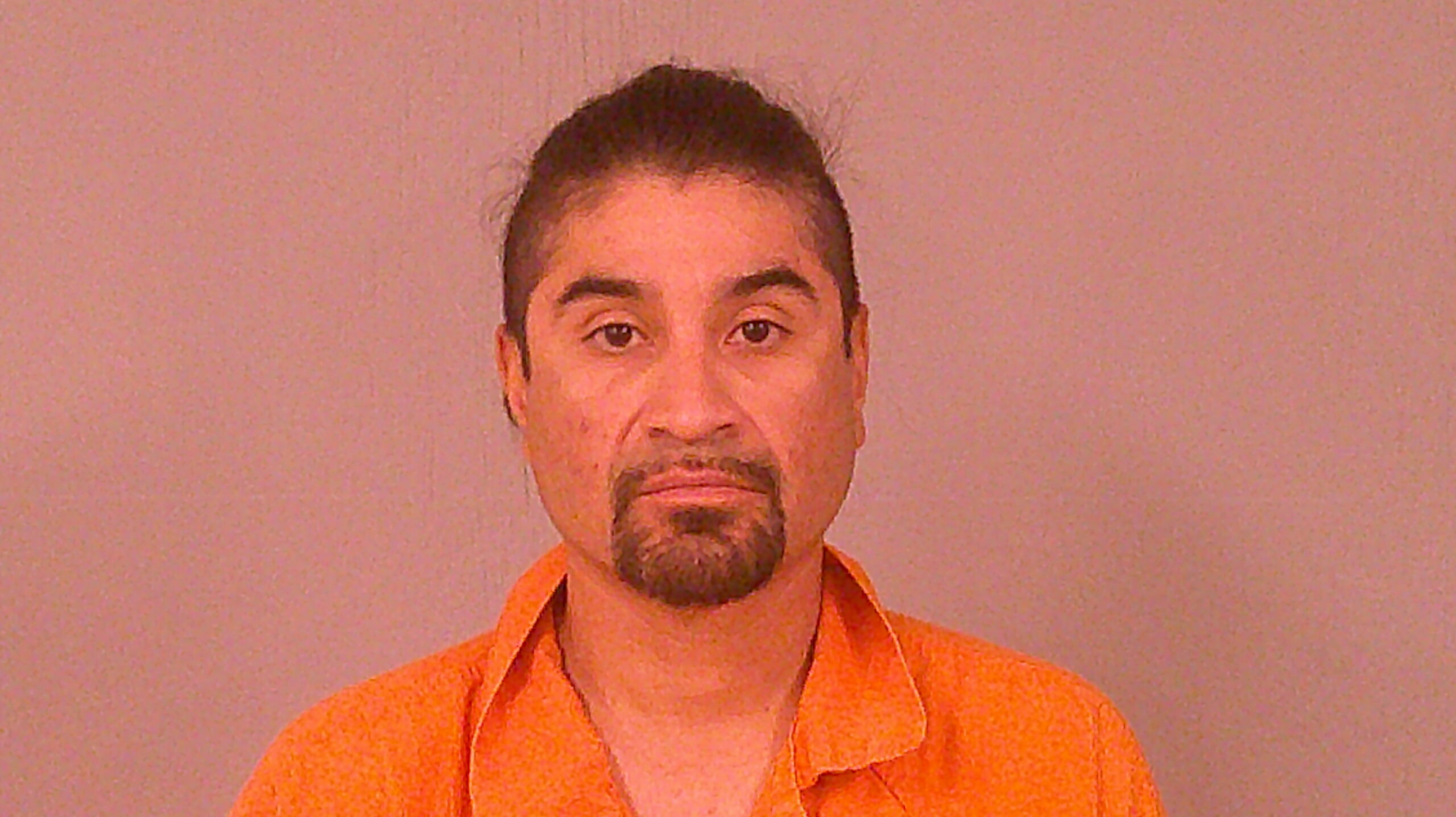 YANEZ-ALEJOS, JAIME booking photo