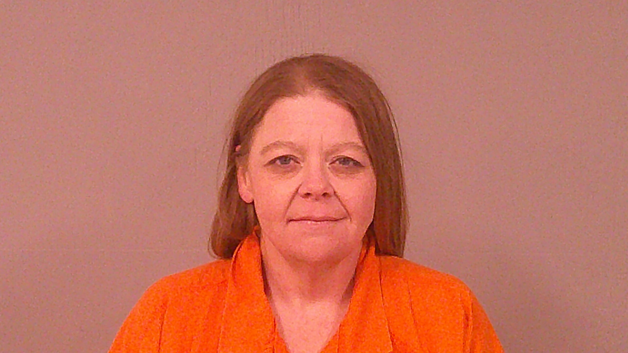 HOLLOWAY, MEGAN SUZANNE booking photo