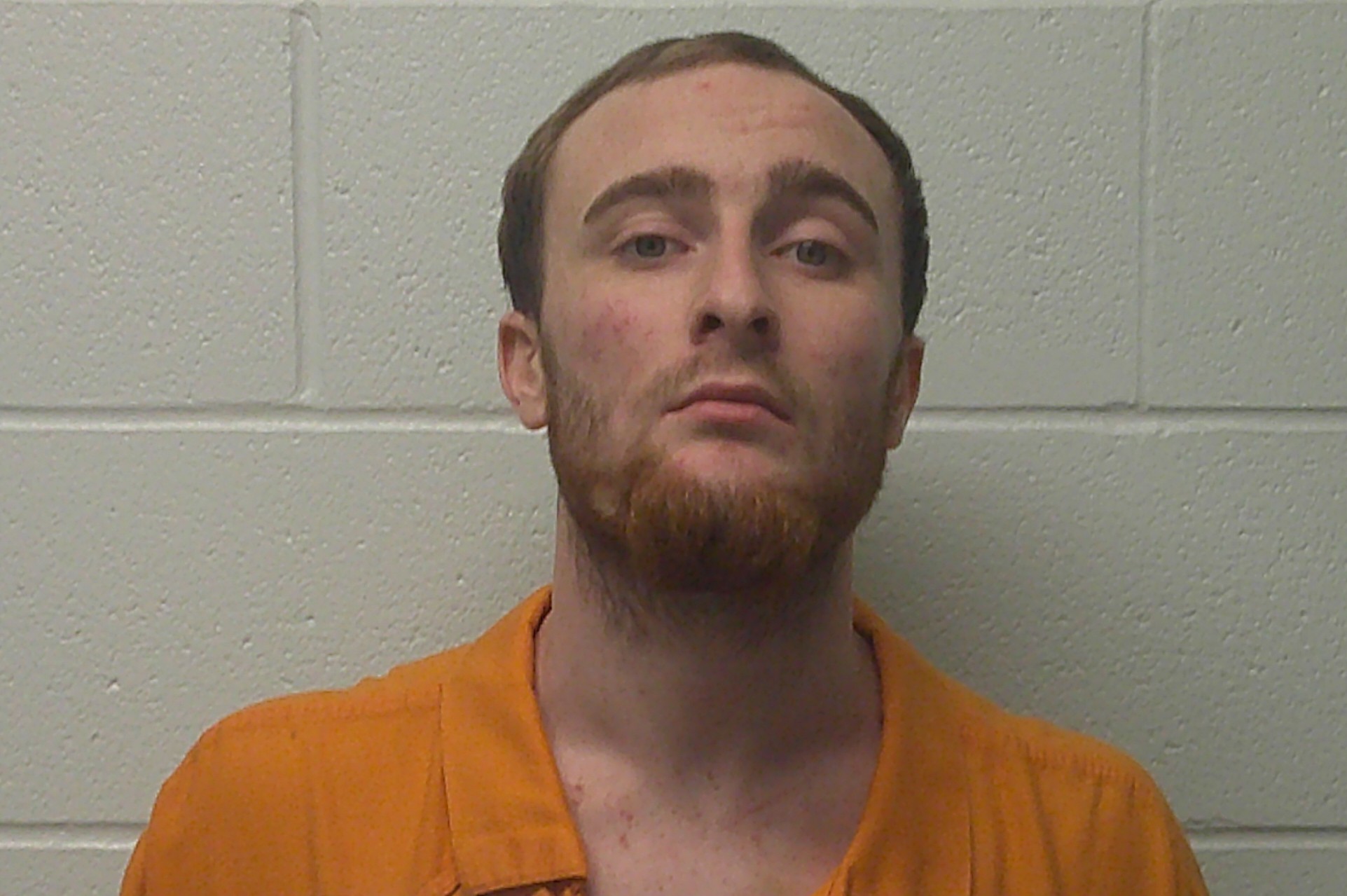 HAHN, TANNER LEE booking photo