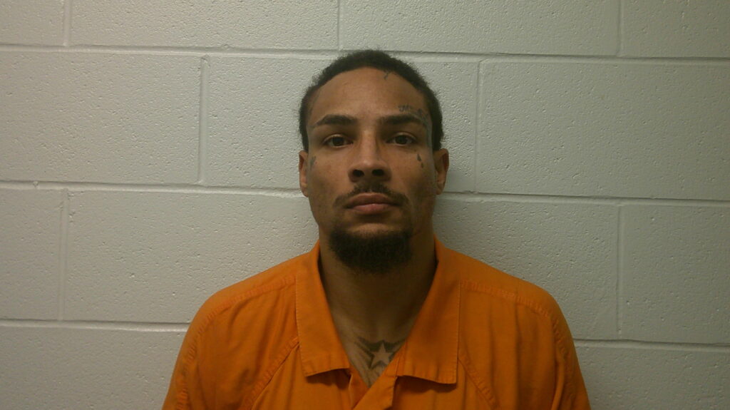 FRANCIS, JAMES L, Jr booking photo