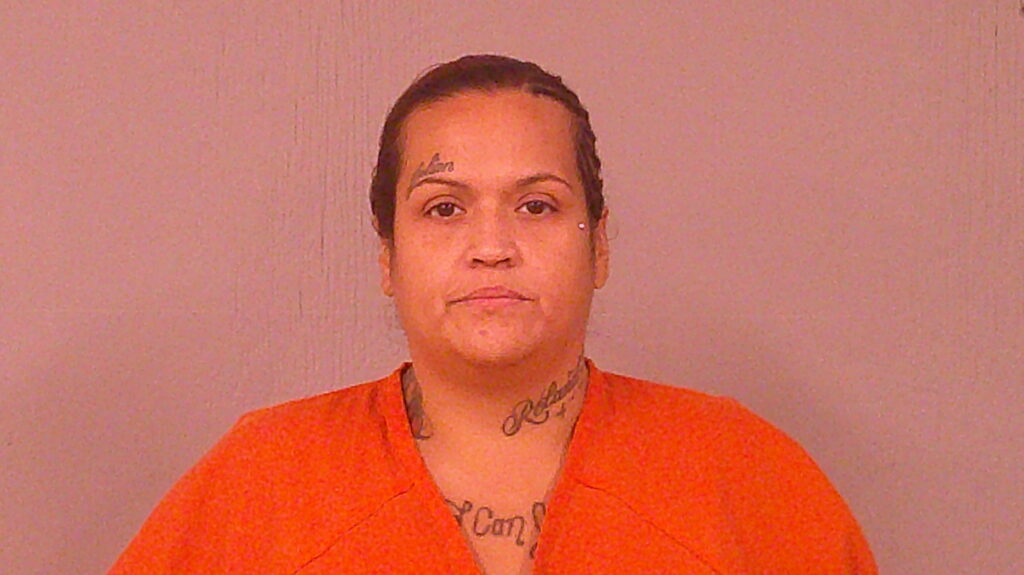 GARCIA, DANIELLA NICOLE booking photo