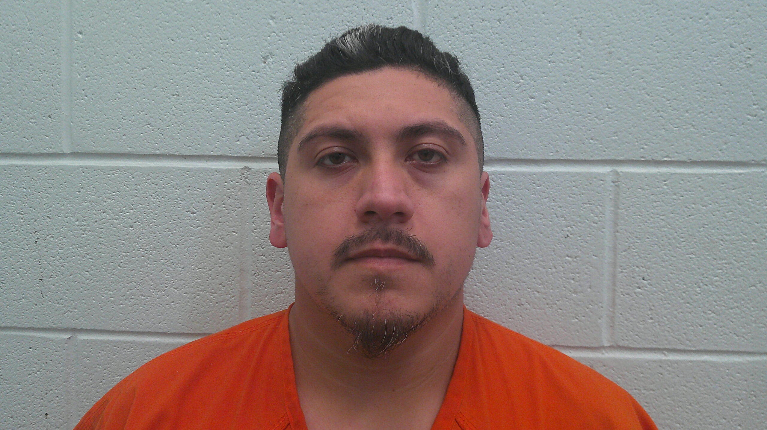 NAVA-GARCIA, LUIS MANUEL booking photo