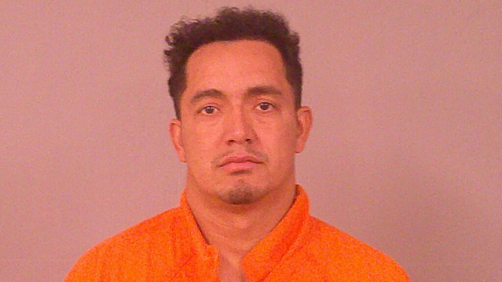 RAMIREZ-CERNA, ELMER ALEXANDER booking photo