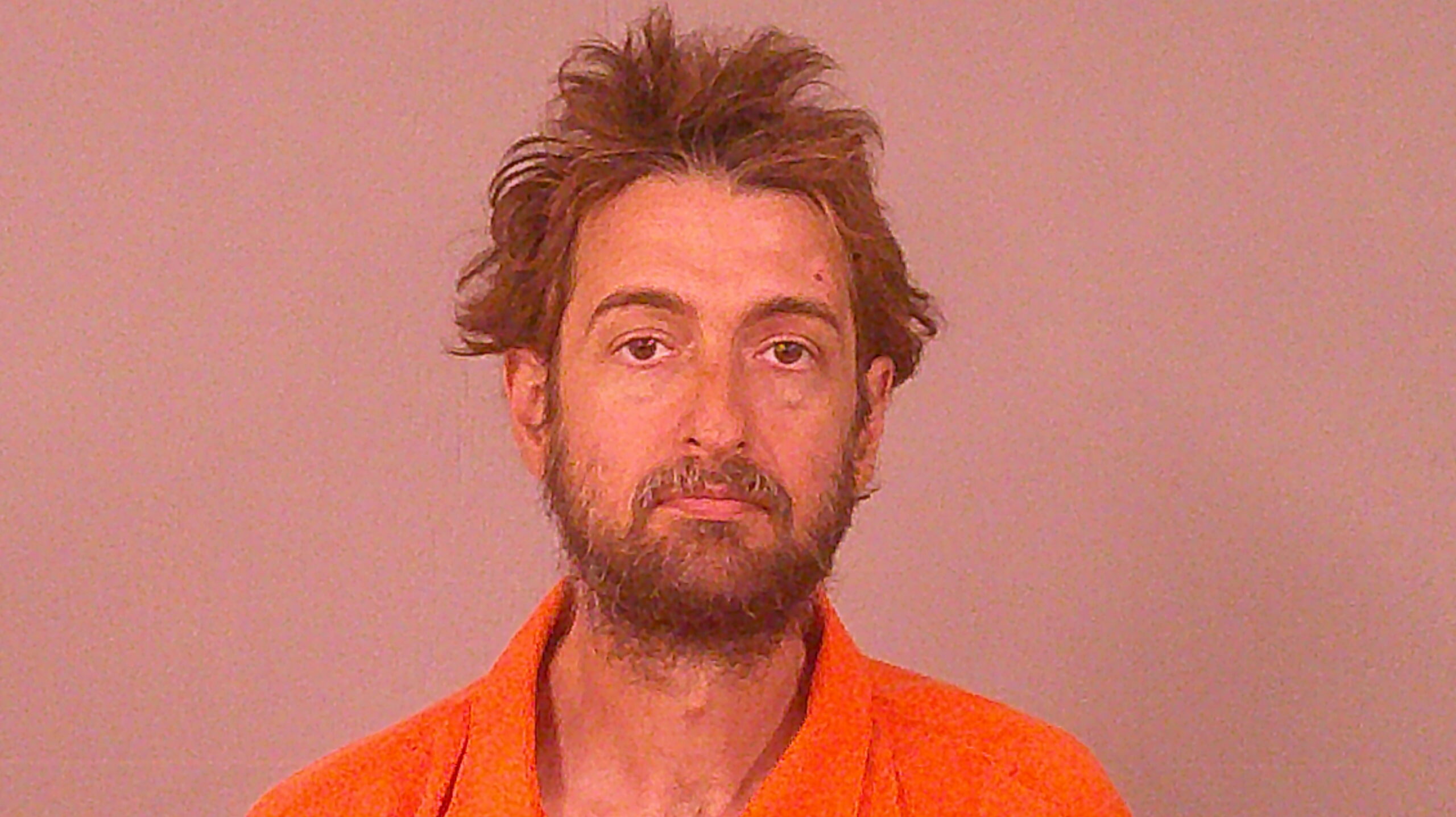 LOWITZER, JASON DAVID booking photo