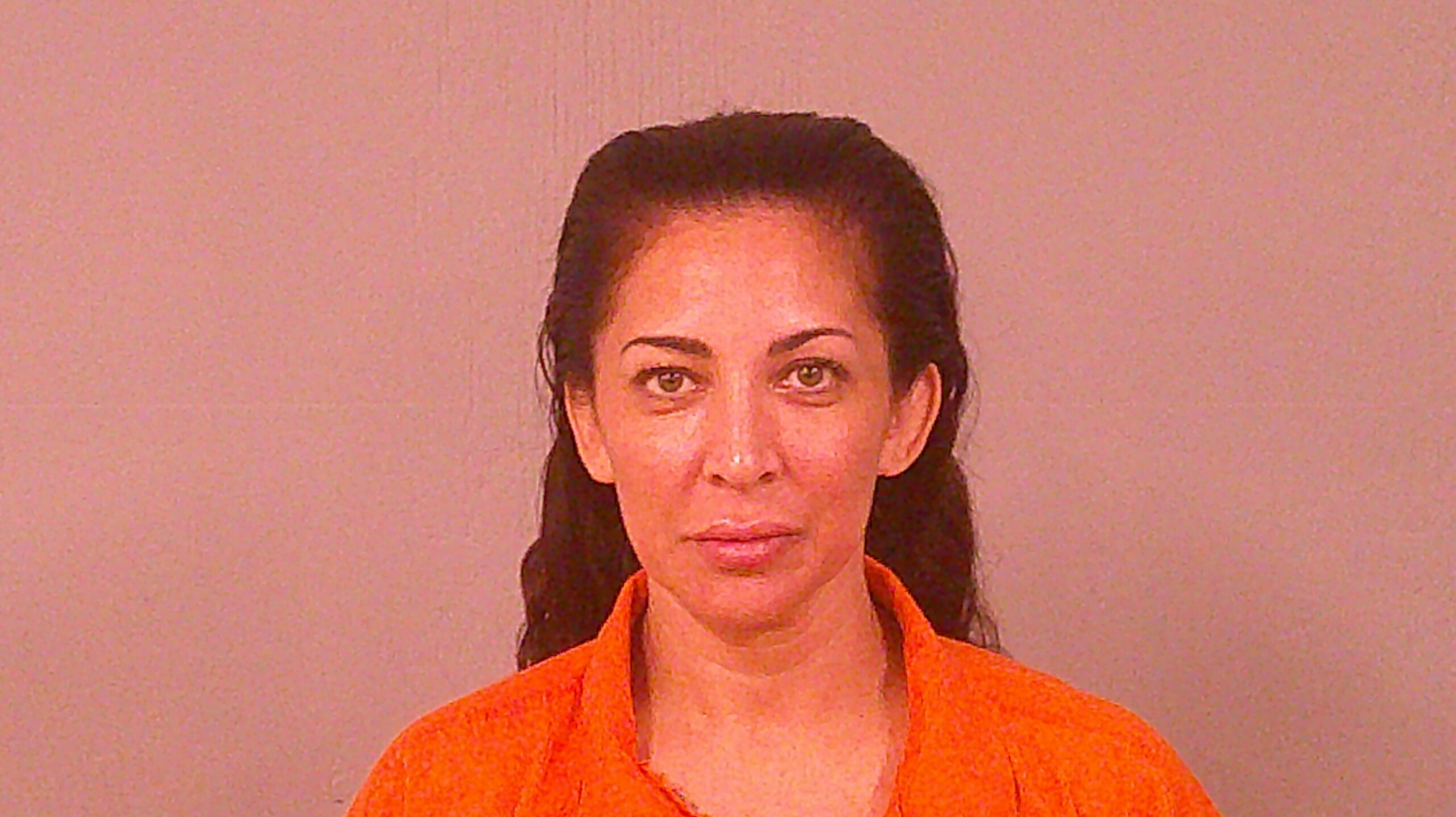 CHAVEZ, ANA LAURA booking photo