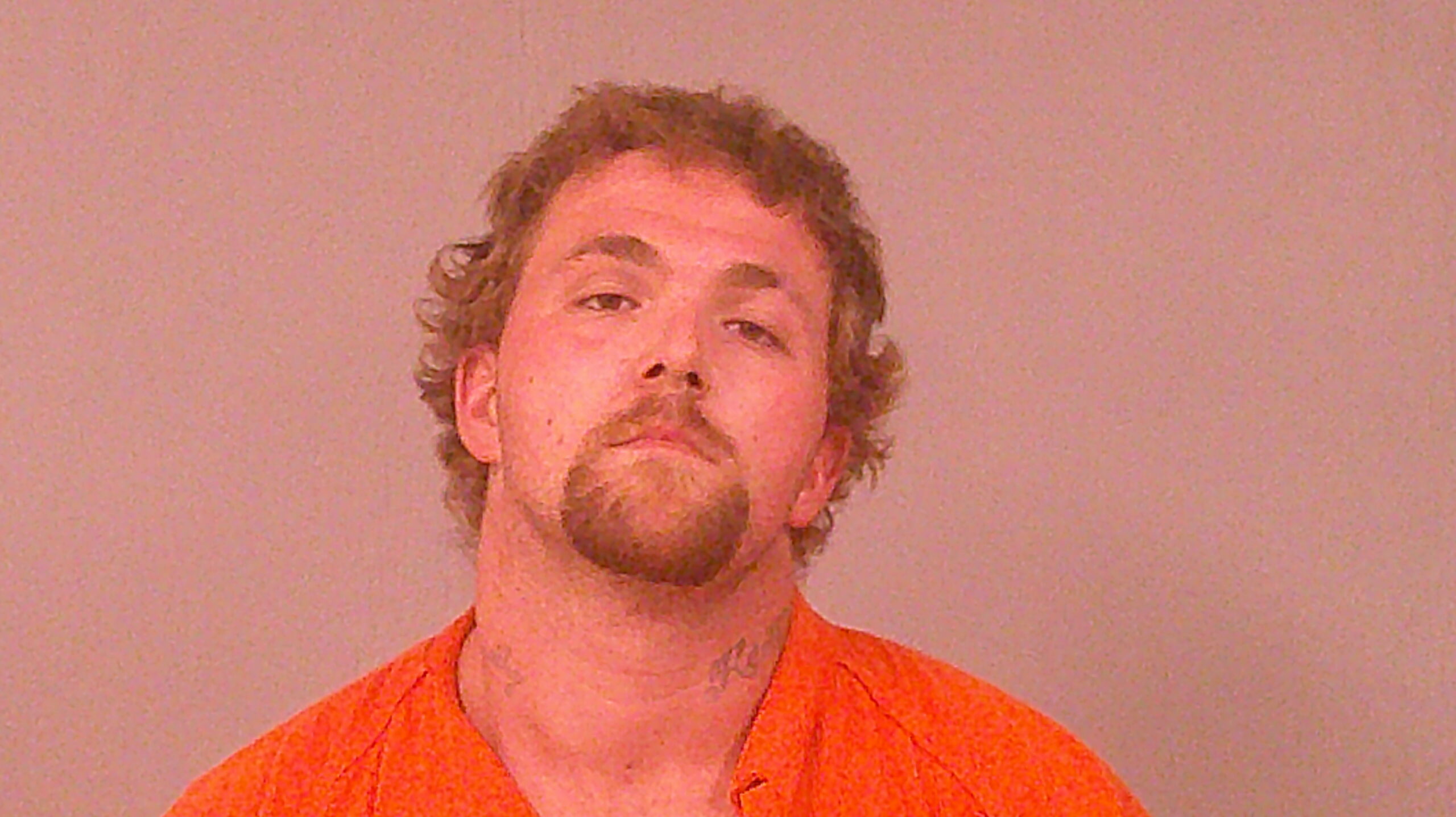 DEFELICE, ROBERT LOUIS booking photo