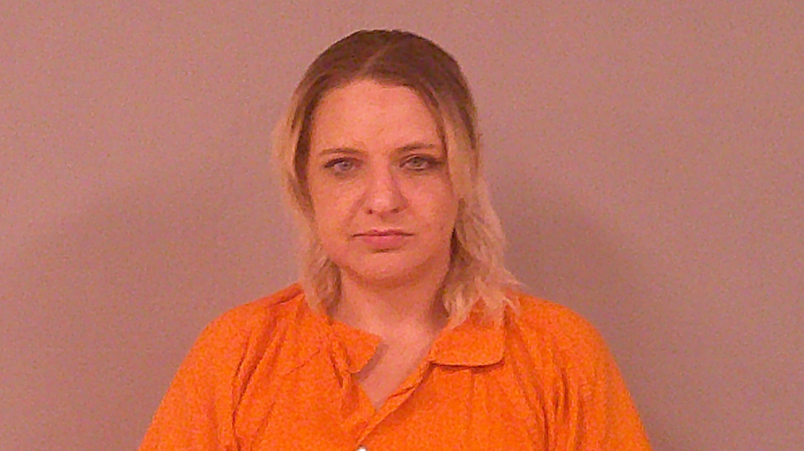 LAPIN, HOLLY ELAYNE booking photo