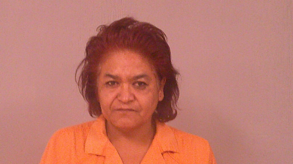 QUINOES, VERONICA booking photo