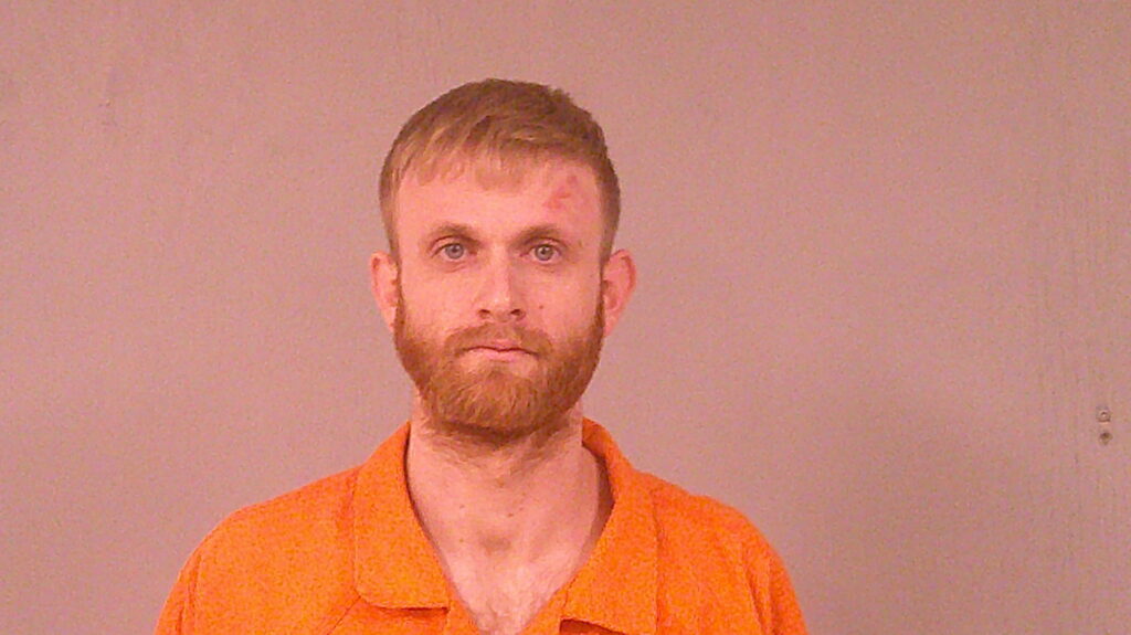 FLEMING, BAILEY LANE booking photo