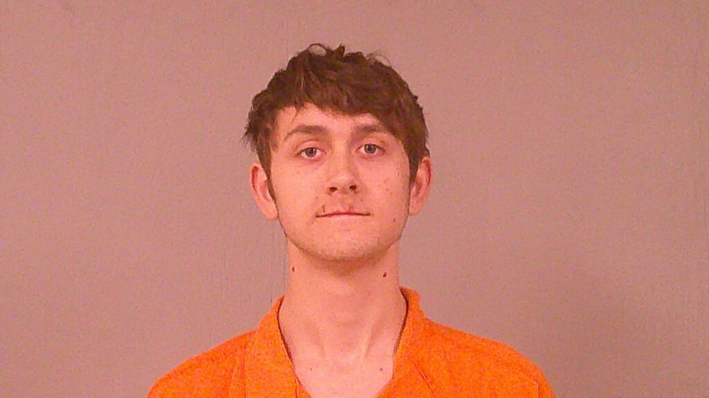 WILLIAMSON, RYAN CAROL RAY booking photo