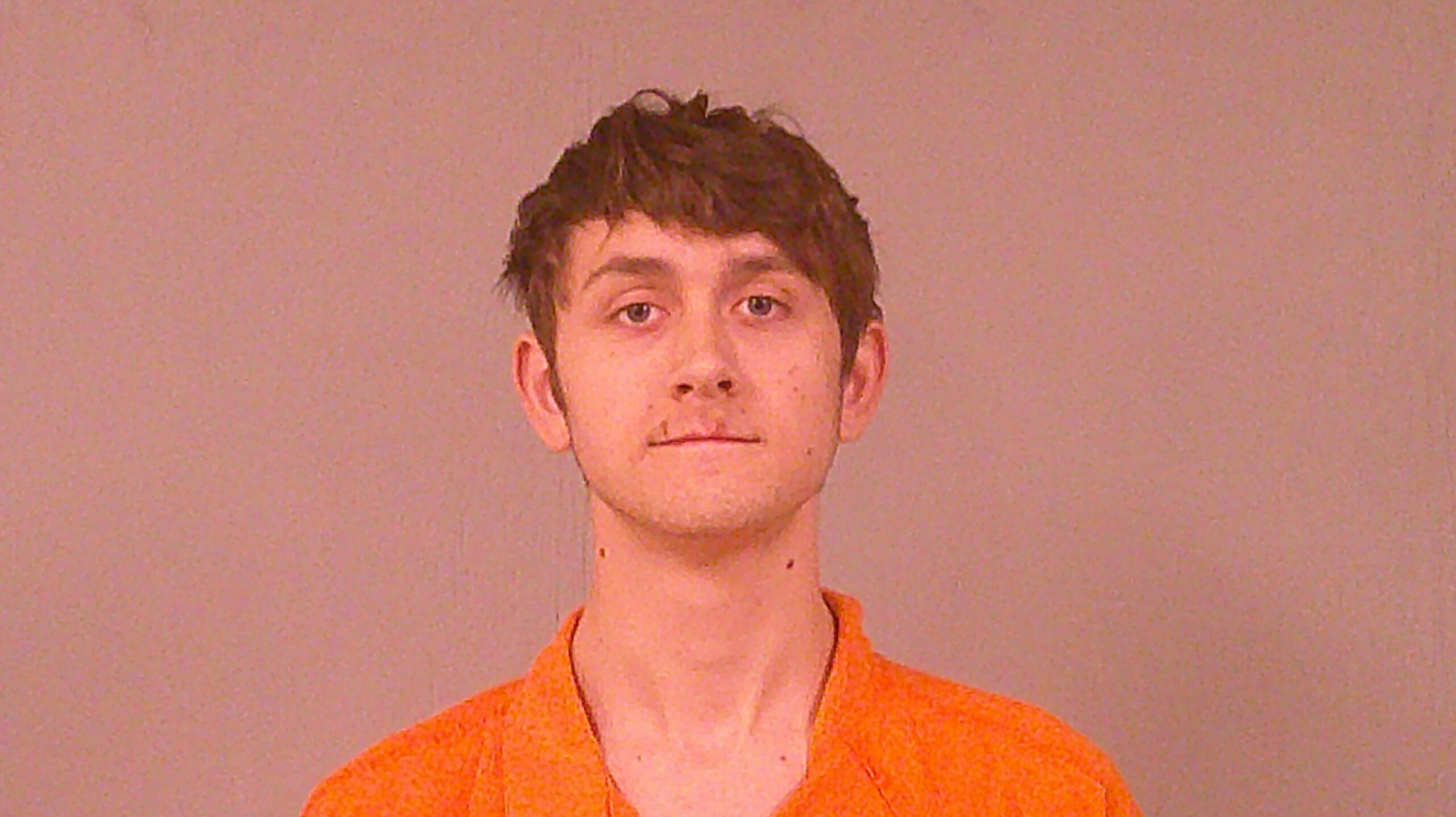 WILLIAMSON, RYAN CAROL RAY booking photo
