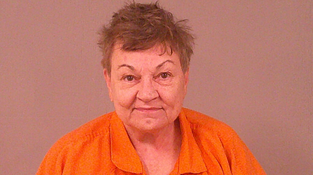 LONG, CONNIE SUE booking photo