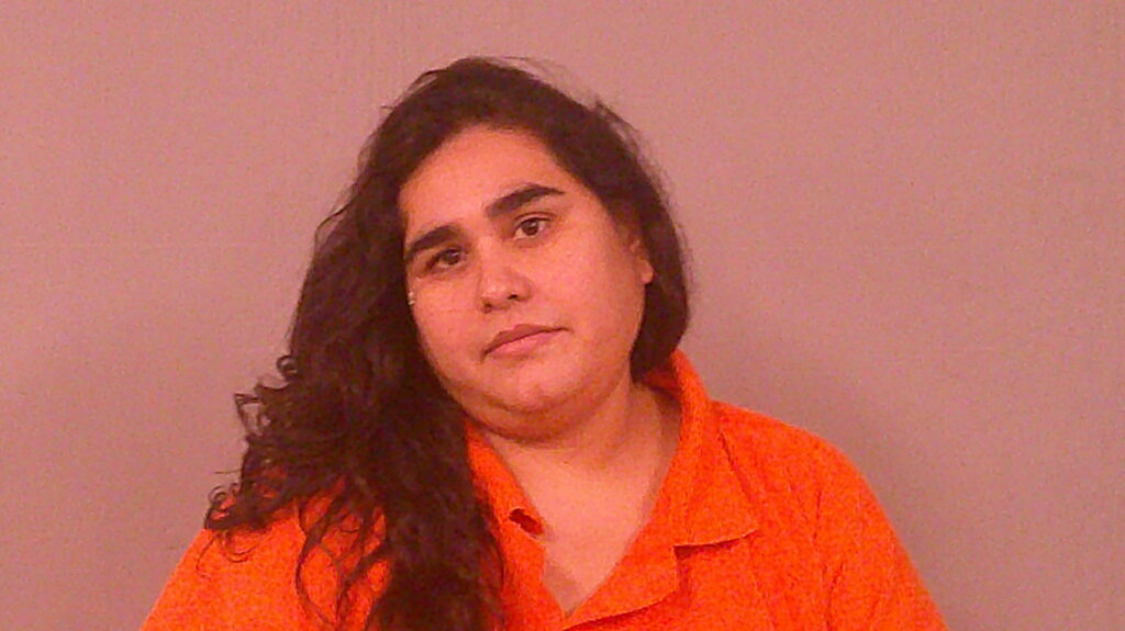 ALMENDAREZ, NOEMI booking photo