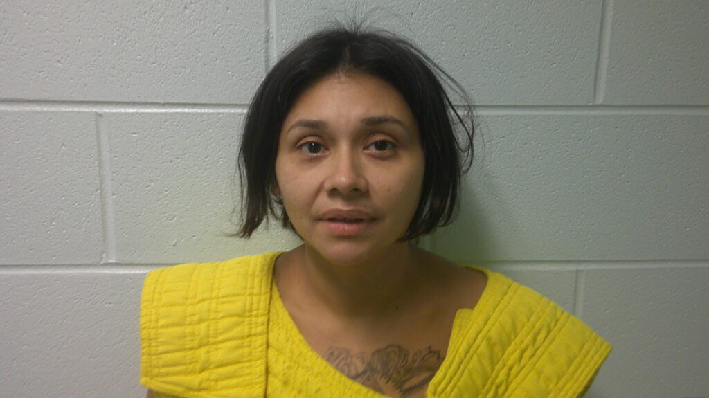 GALVAN, HILARY ANN booking photo