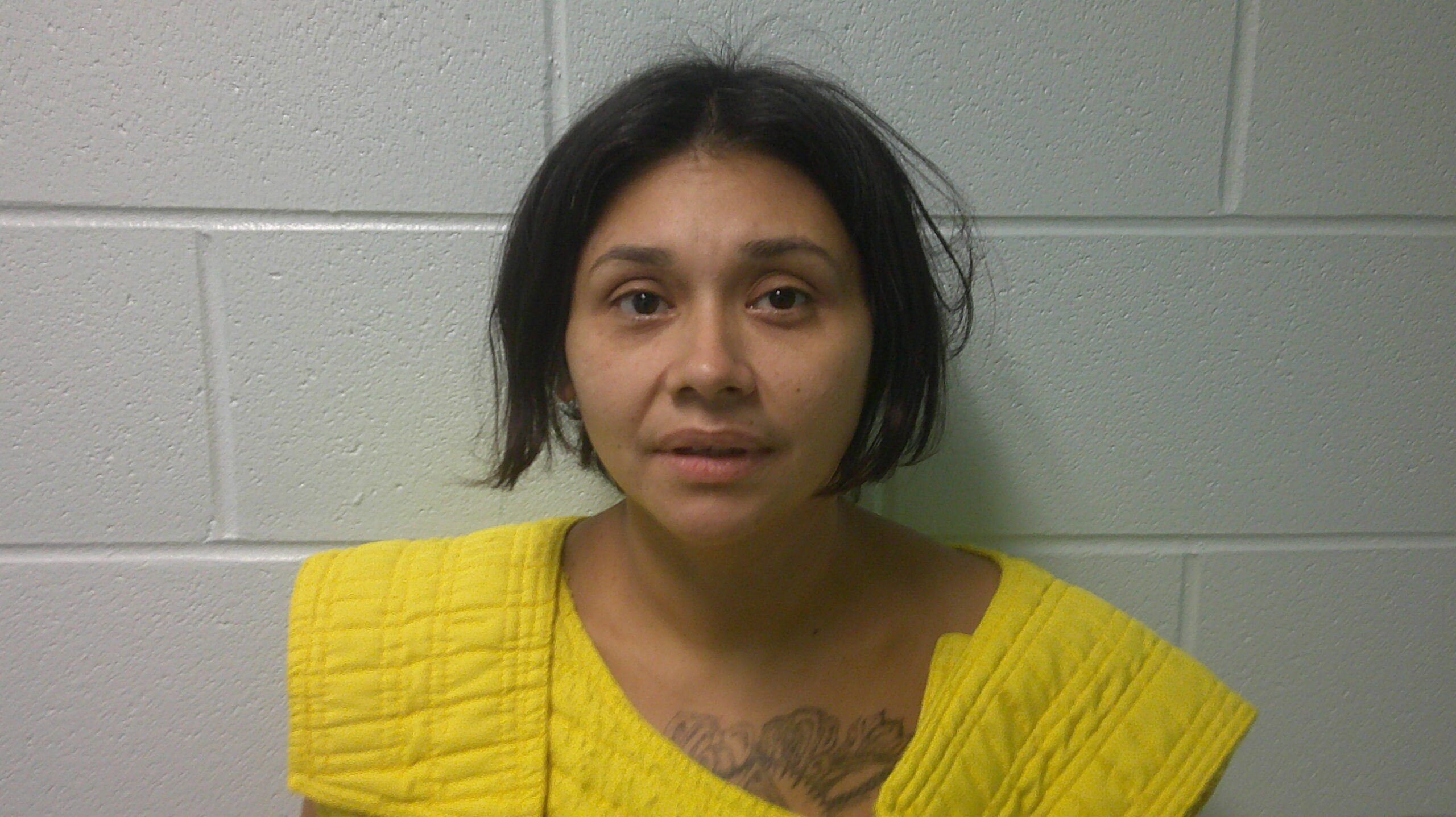 GALVAN, HILARY ANN booking photo