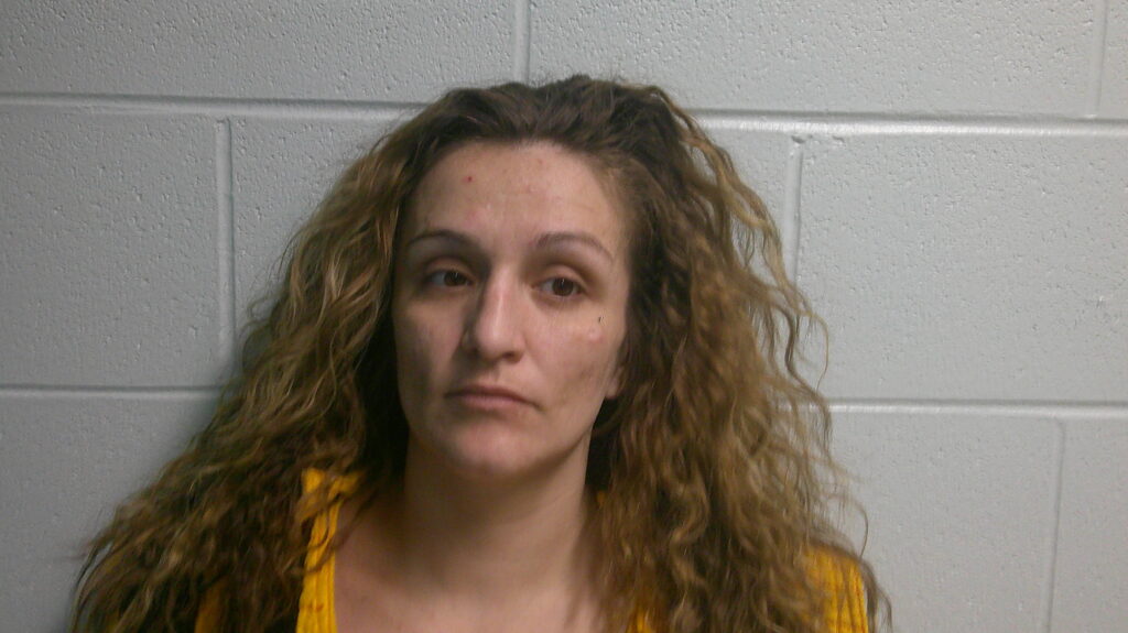 GABRIEL, ALEXIS SHEA booking photo