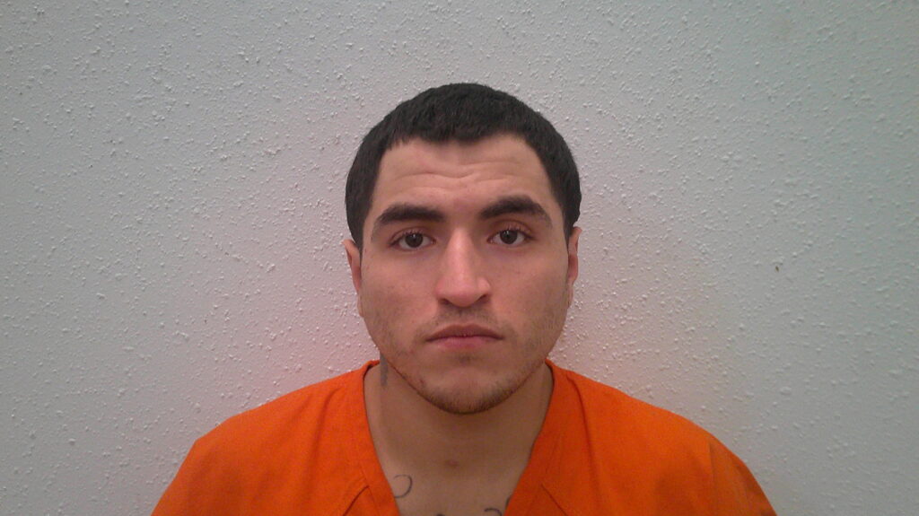 OLIVO, DAVID V booking photo