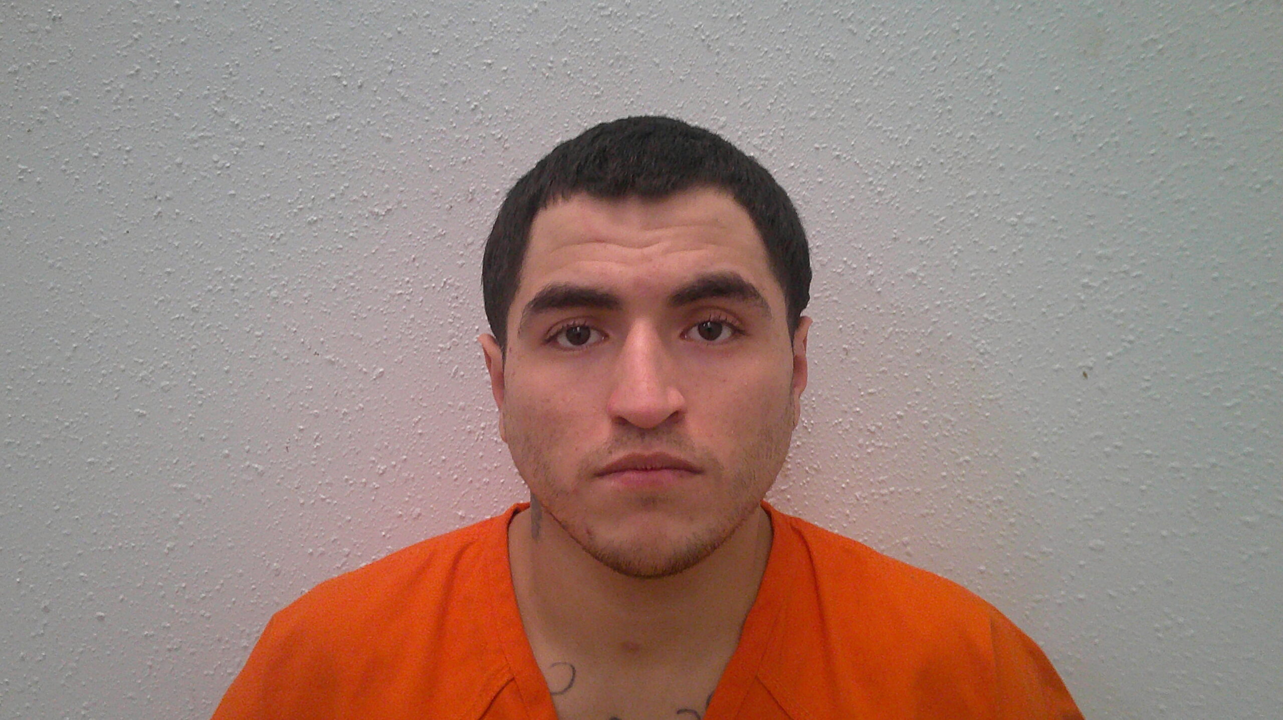 OLIVO, DAVID V booking photo