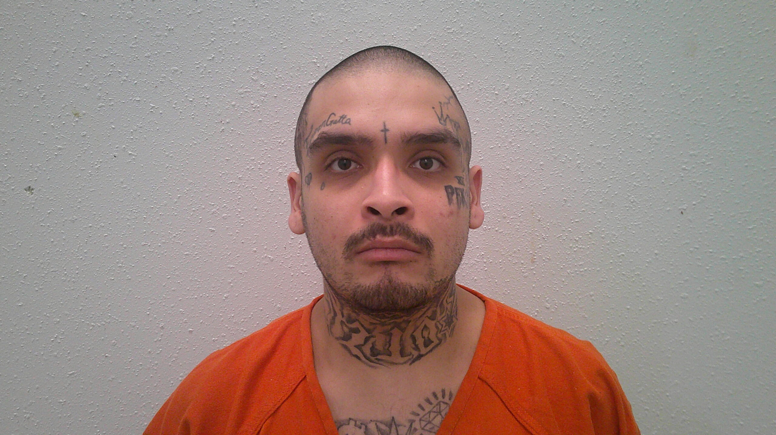 ARELLANO, ADRIAN DAVID booking photo