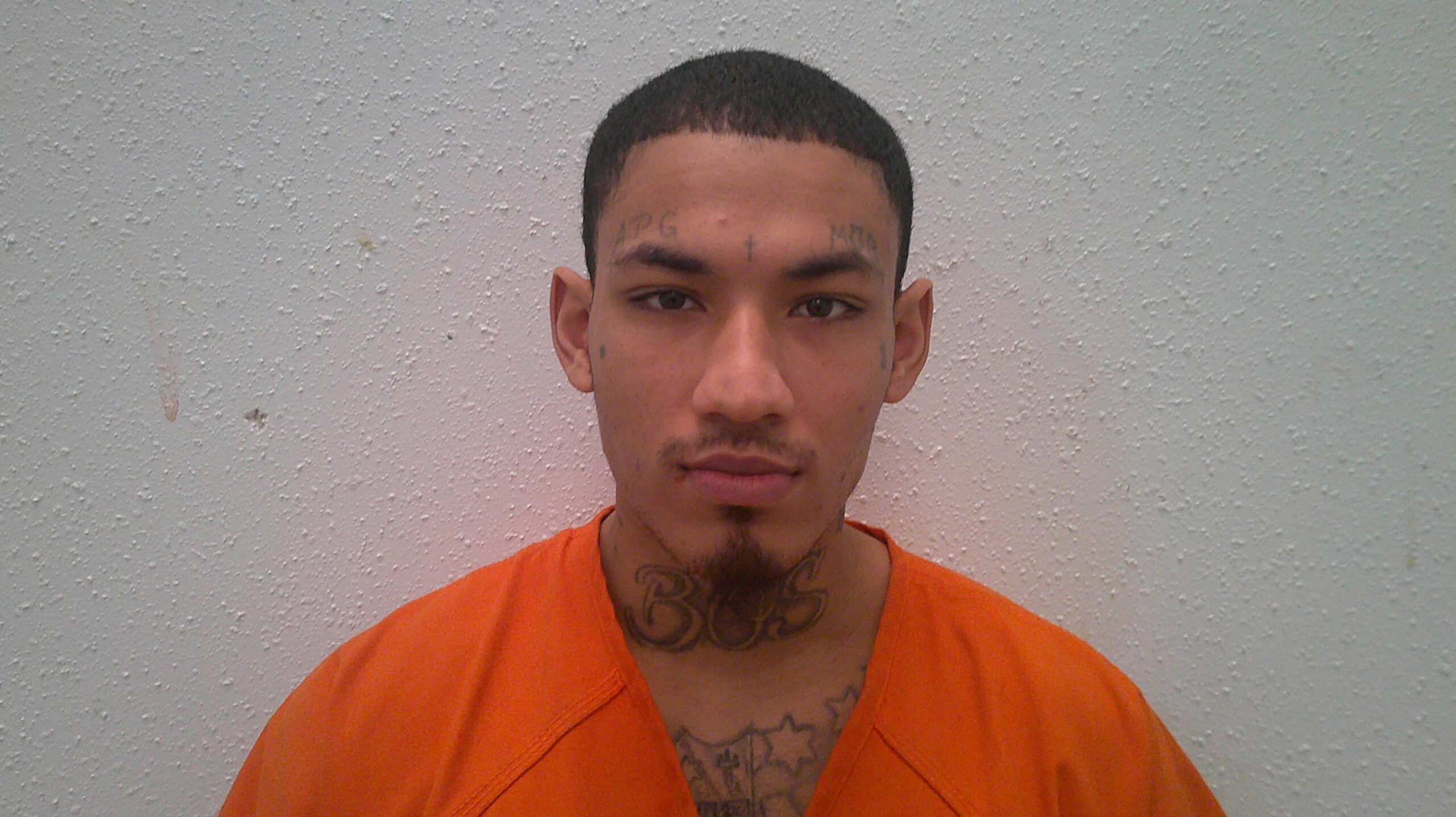 DIETART, NICHOLAS MAQUISE booking photo