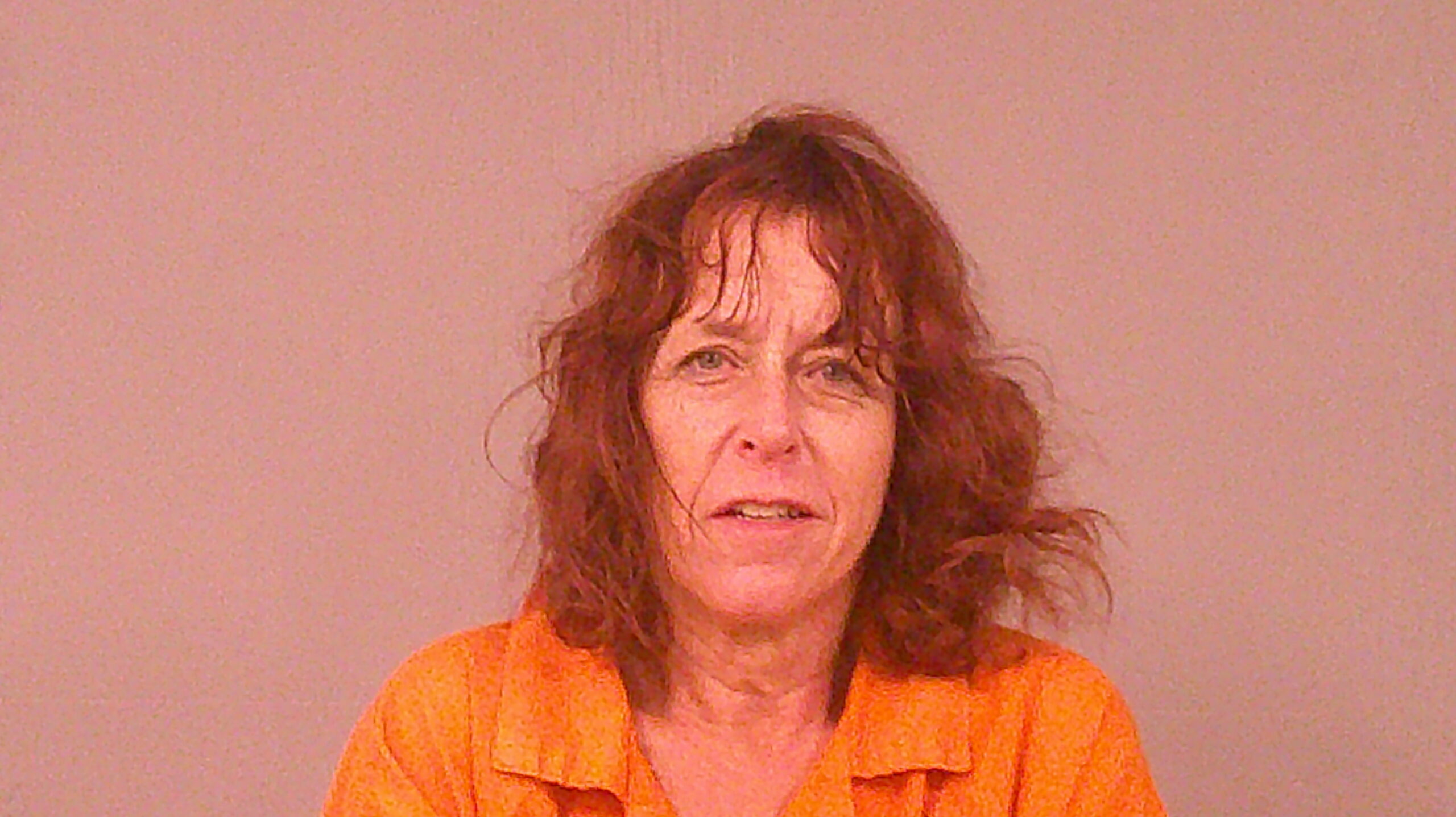 TORRES, KELLY LYNN booking photo