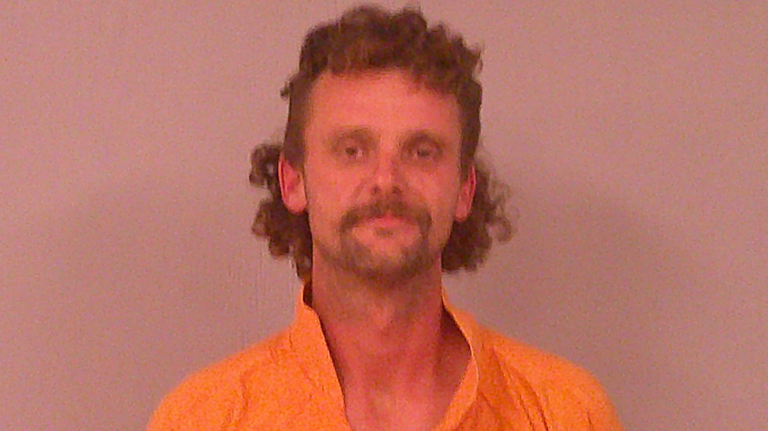 STEDMAN, ZANE ANDREW booking photo