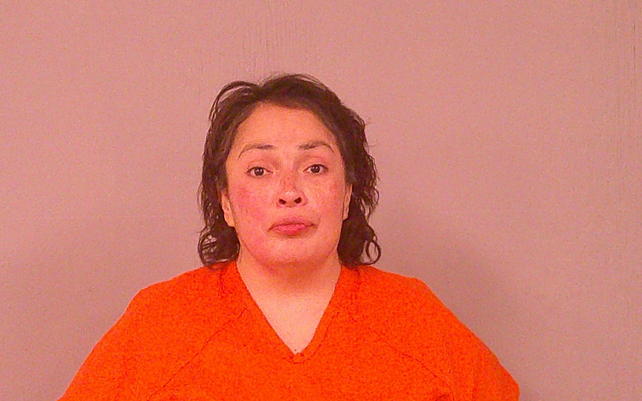 RUBIO, ALICIA booking photo