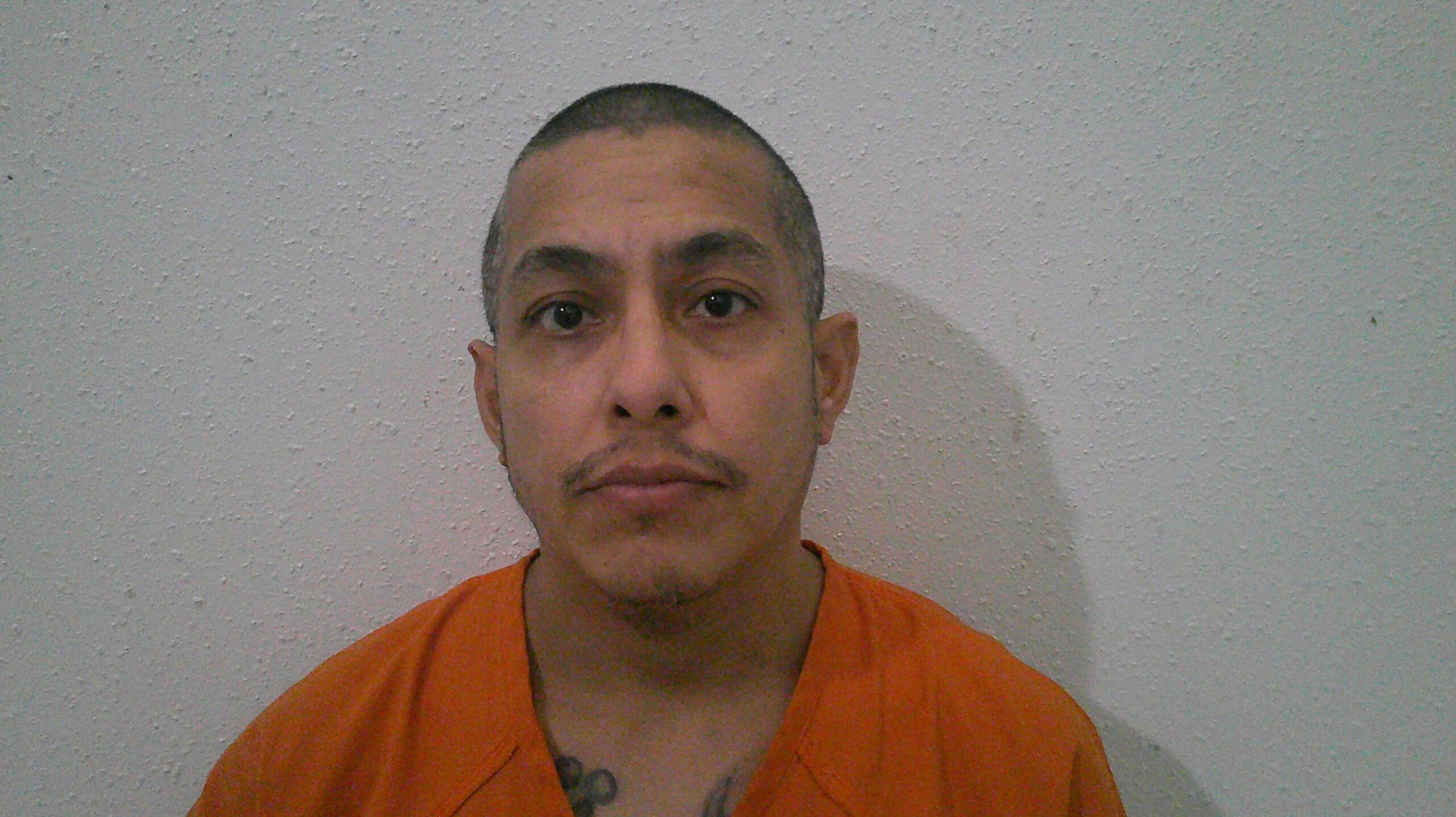 TURIANO, LINDSEY RAY booking photo