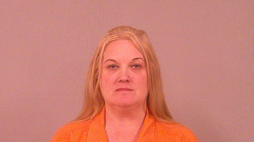 LABOVE, DAWN ALISSA booking photo